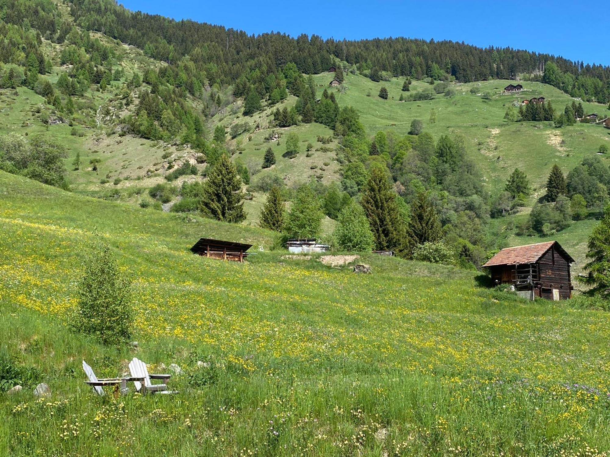 La Cle Des Champs Bed & Breakfast Heremence Exterior photo